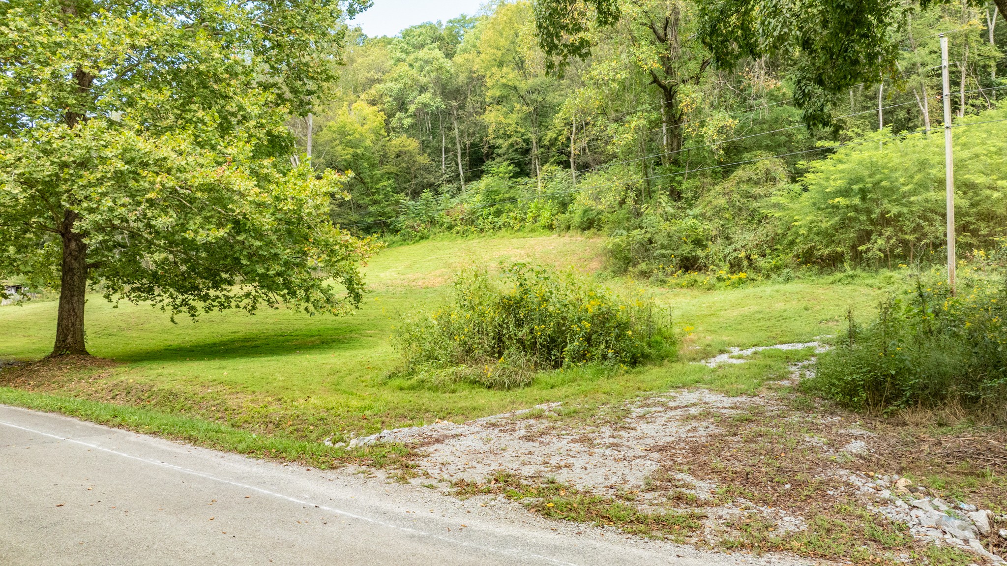 0 Roy Dodson Road Columbia, TN 38401 - Photo 12 of 33