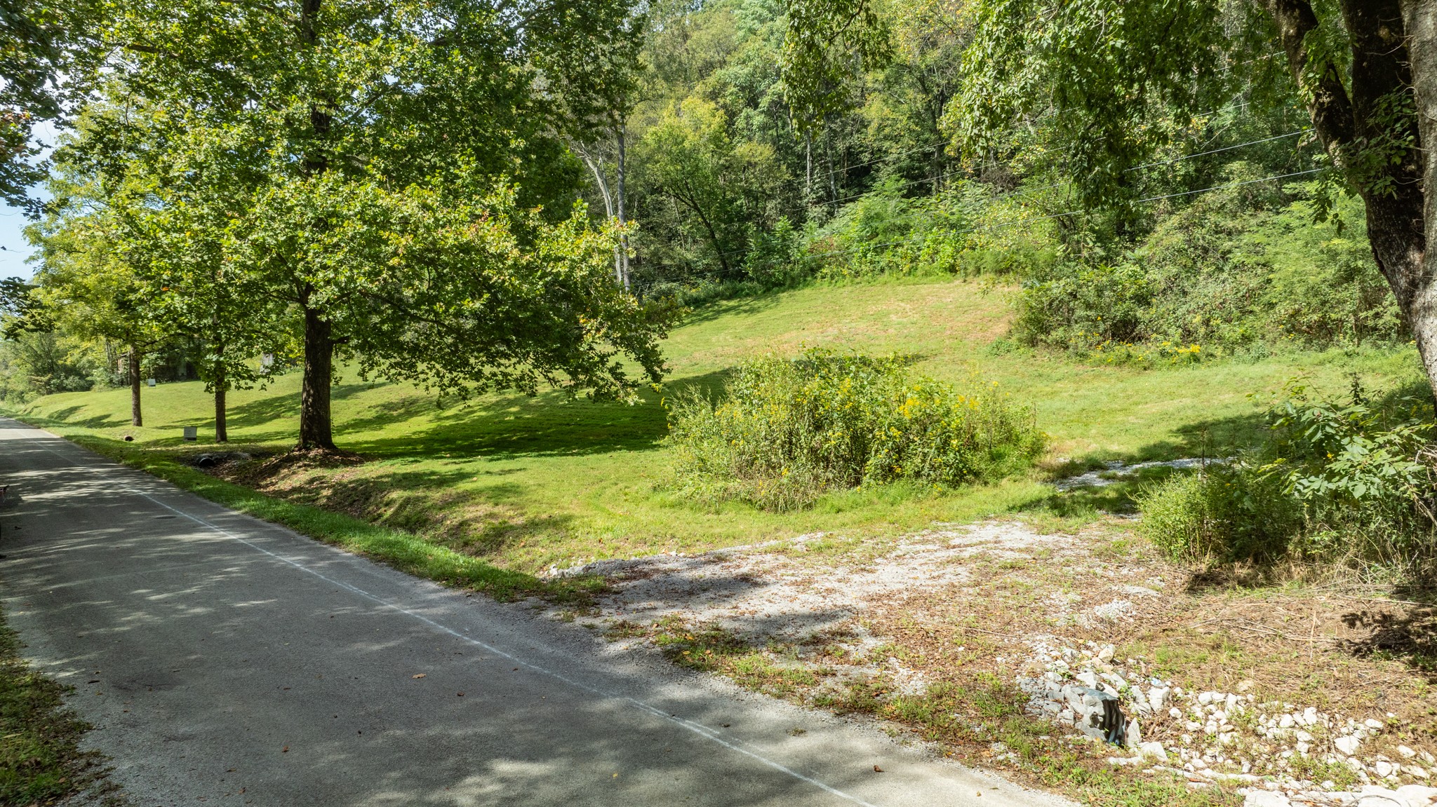 0 Roy Dodson Road Columbia, TN 38401 - Photo 13 of 33