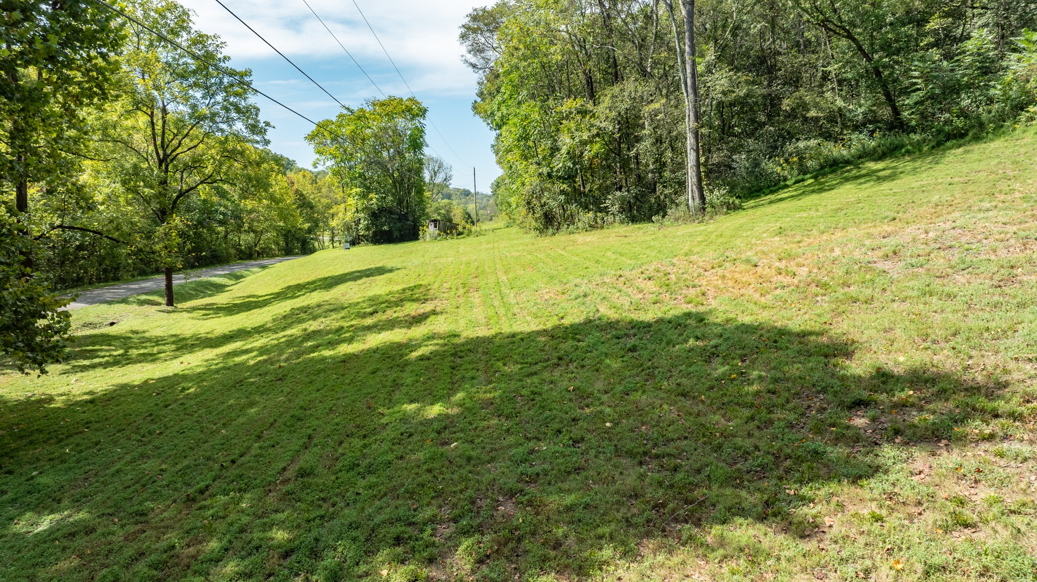 0 Roy Dodson Road Columbia, TN 38401 - Photo 14 of 33