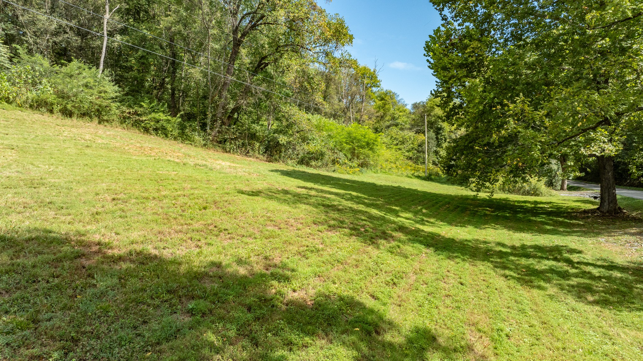 0 Roy Dodson Road Columbia, TN 38401 - Photo 15 of 33
