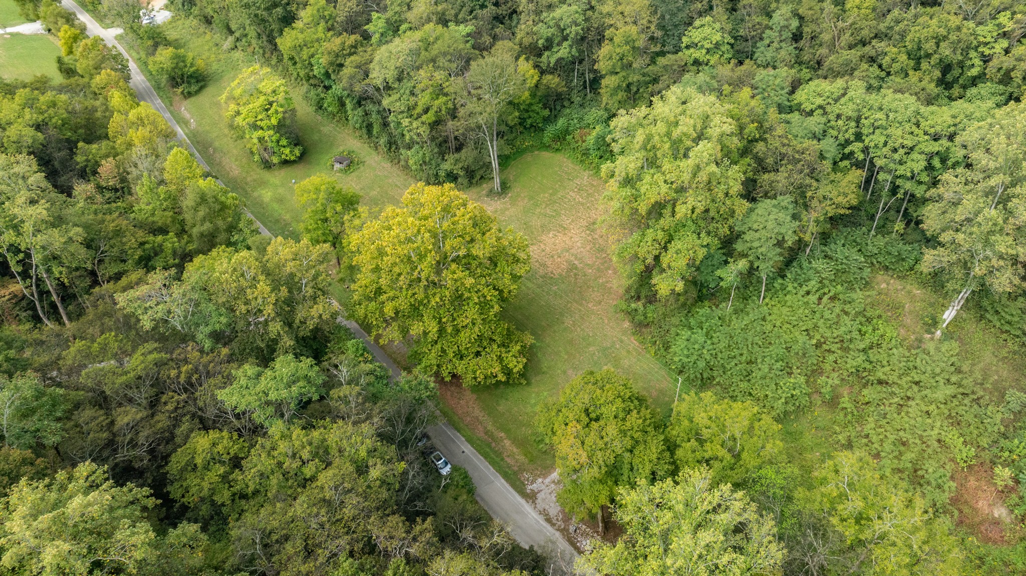 0 Roy Dodson Road Columbia, TN 38401 - Photo 16 of 33