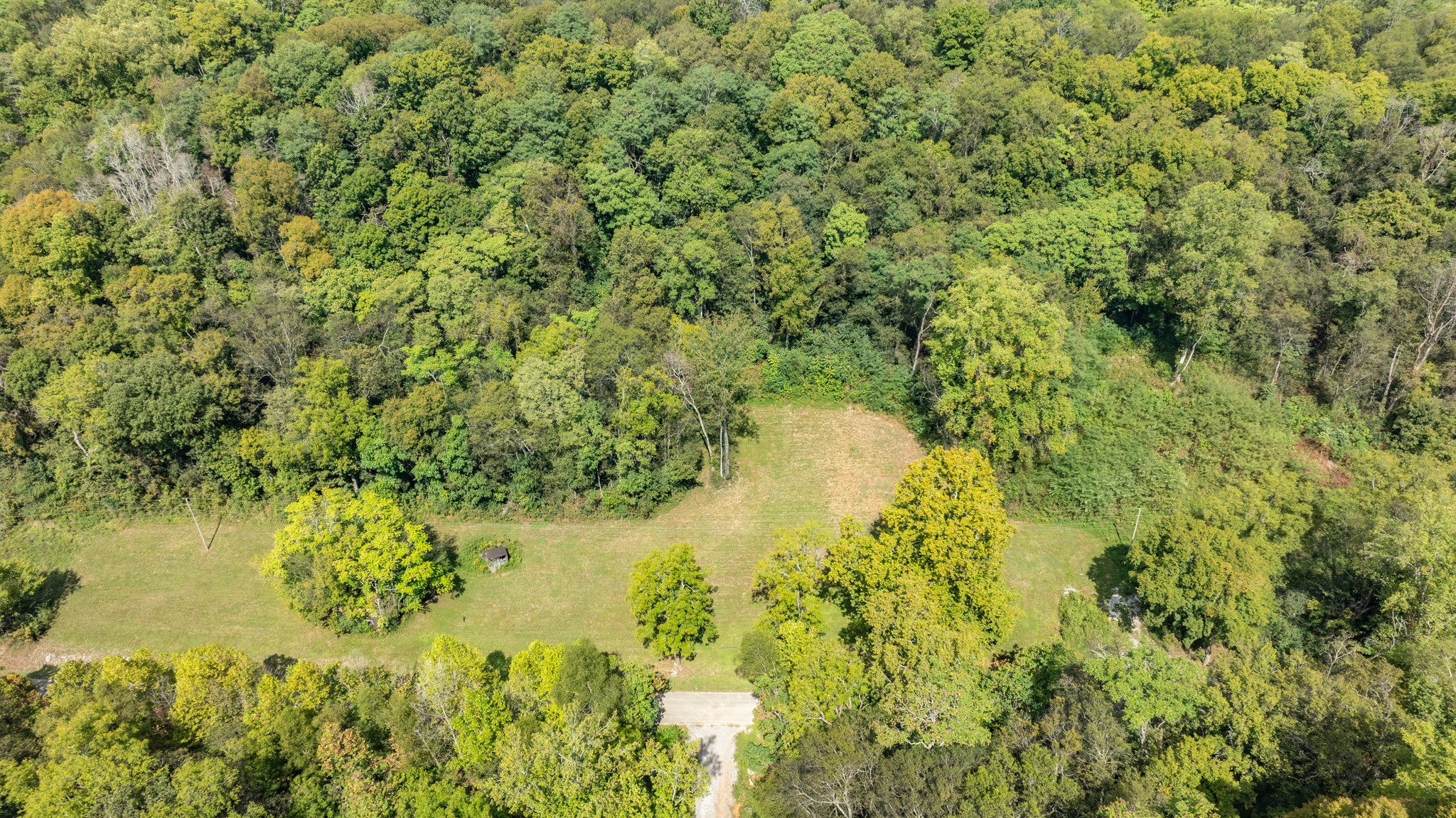 0 Roy Dodson Road Columbia, TN 38401 - Photo 17 of 33