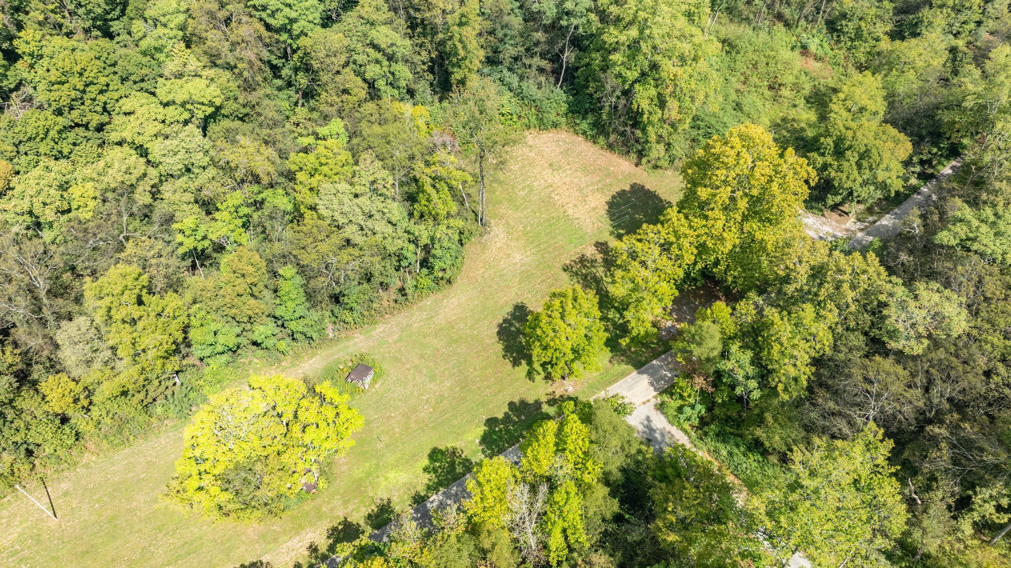 0 Roy Dodson Road Columbia, TN 38401 - Photo 18 of 33