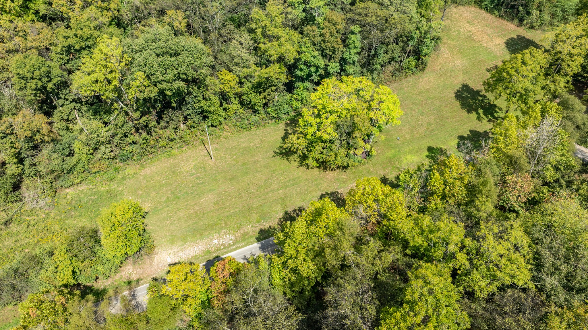 0 Roy Dodson Road Columbia, TN 38401 - Photo 19 of 33