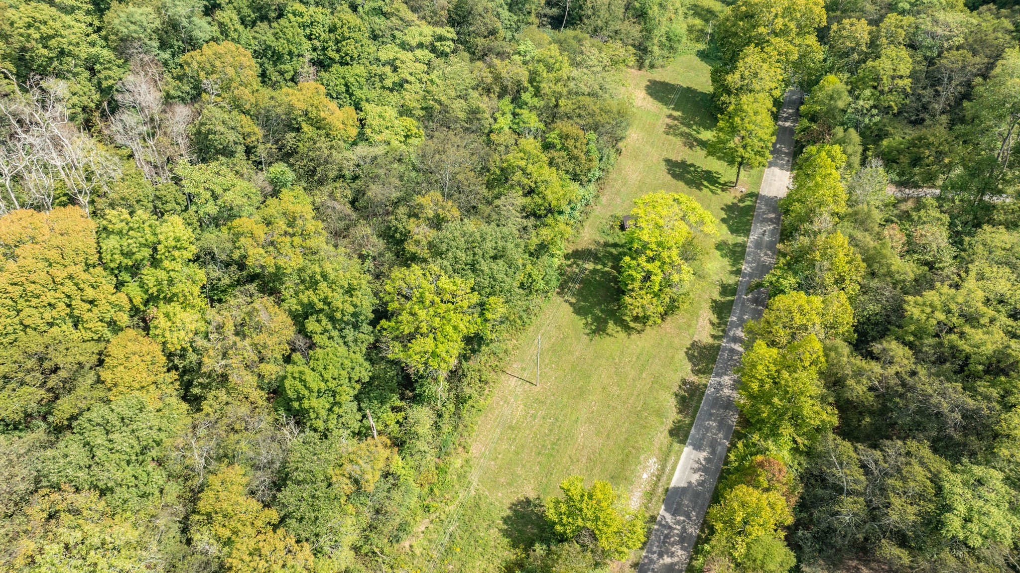 0 Roy Dodson Road Columbia, TN 38401 - Photo 20 of 33