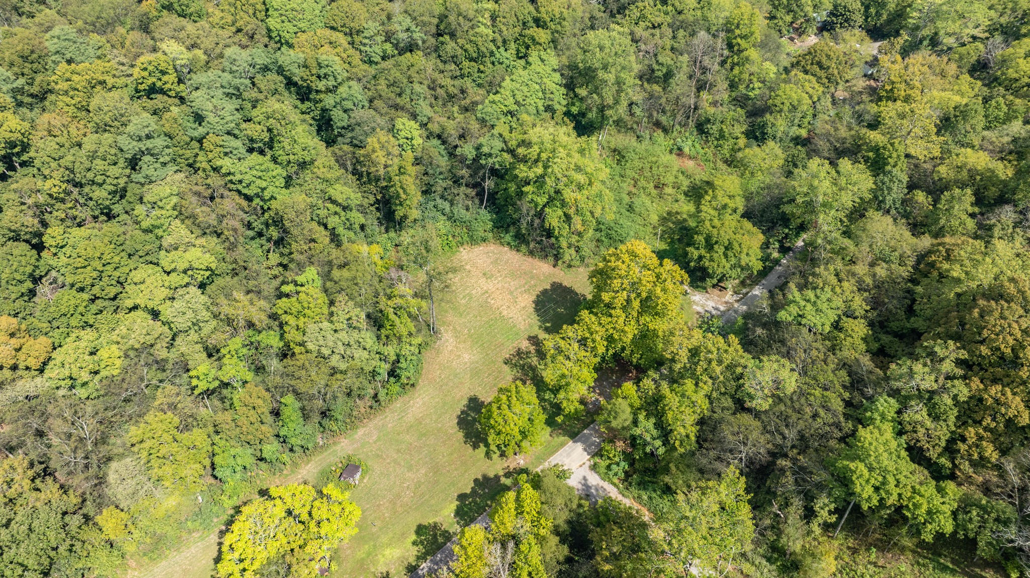 0 Roy Dodson Road Columbia, TN 38401 - Photo 21 of 33