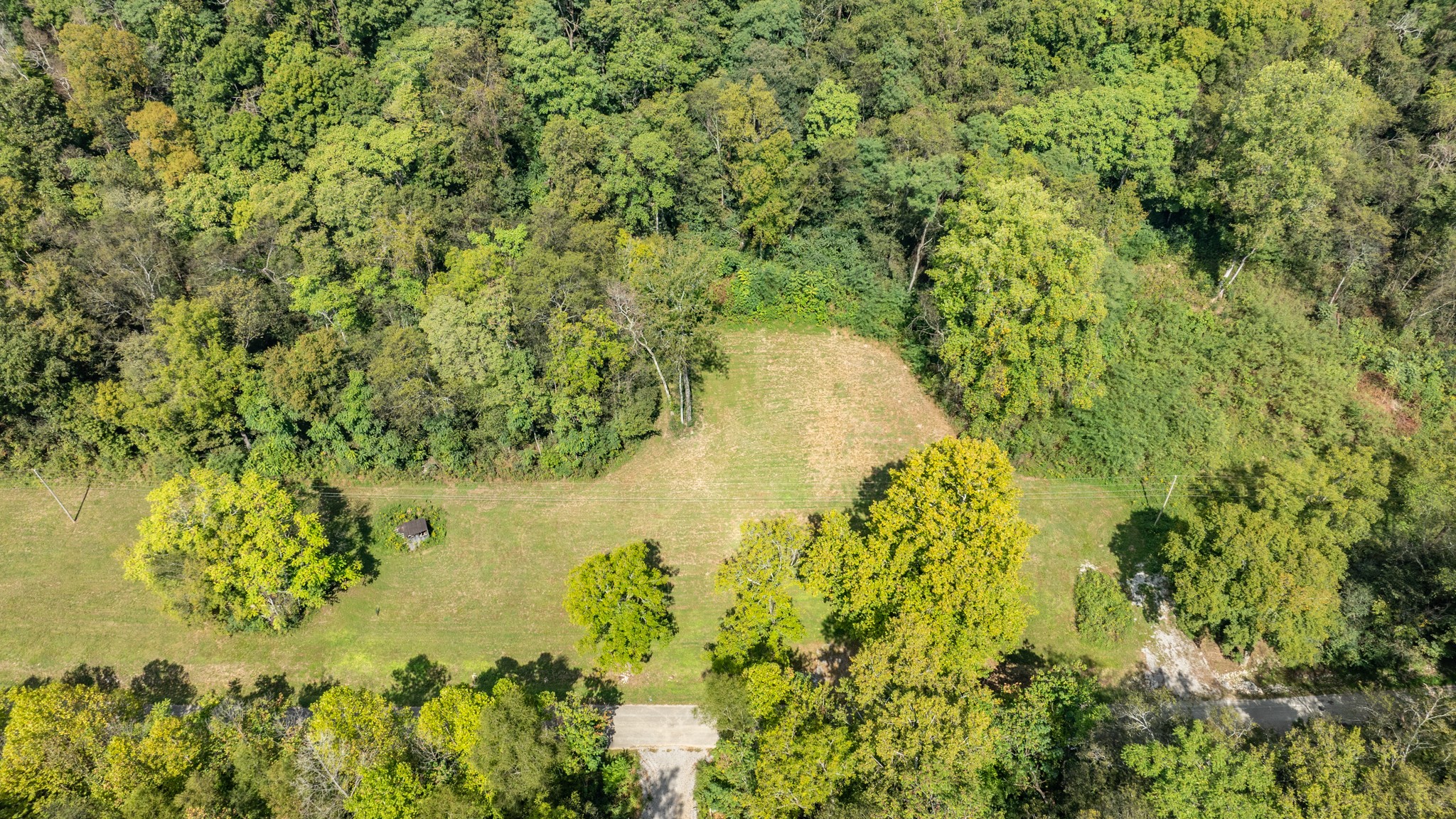 0 Roy Dodson Road Columbia, TN 38401 - Photo 22 of 33