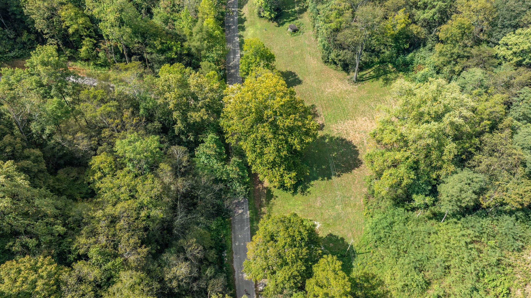 0 Roy Dodson Road Columbia, TN 38401 - Photo 25 of 33