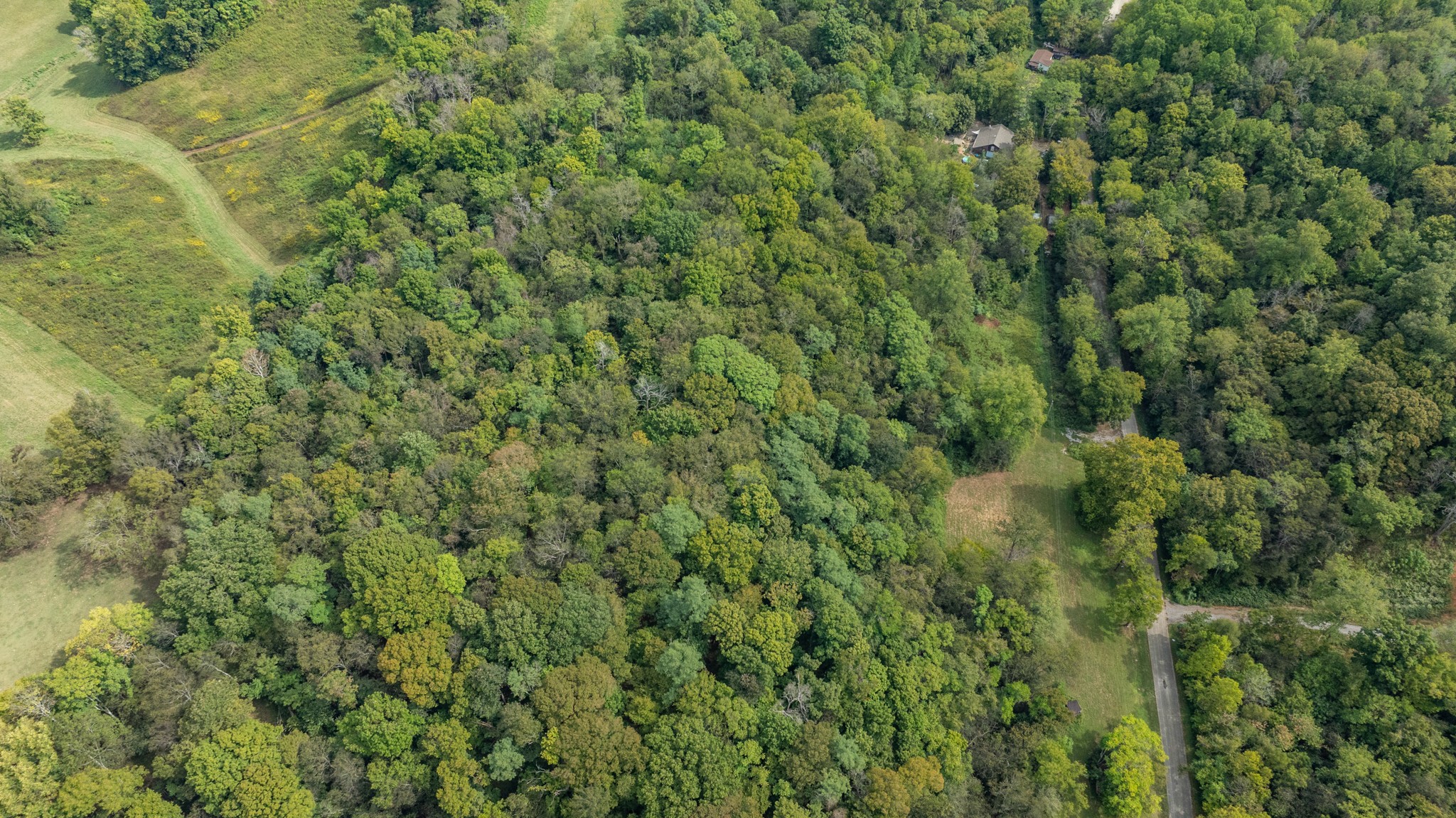 0 Roy Dodson Road Columbia, TN 38401 - Photo 29 of 33