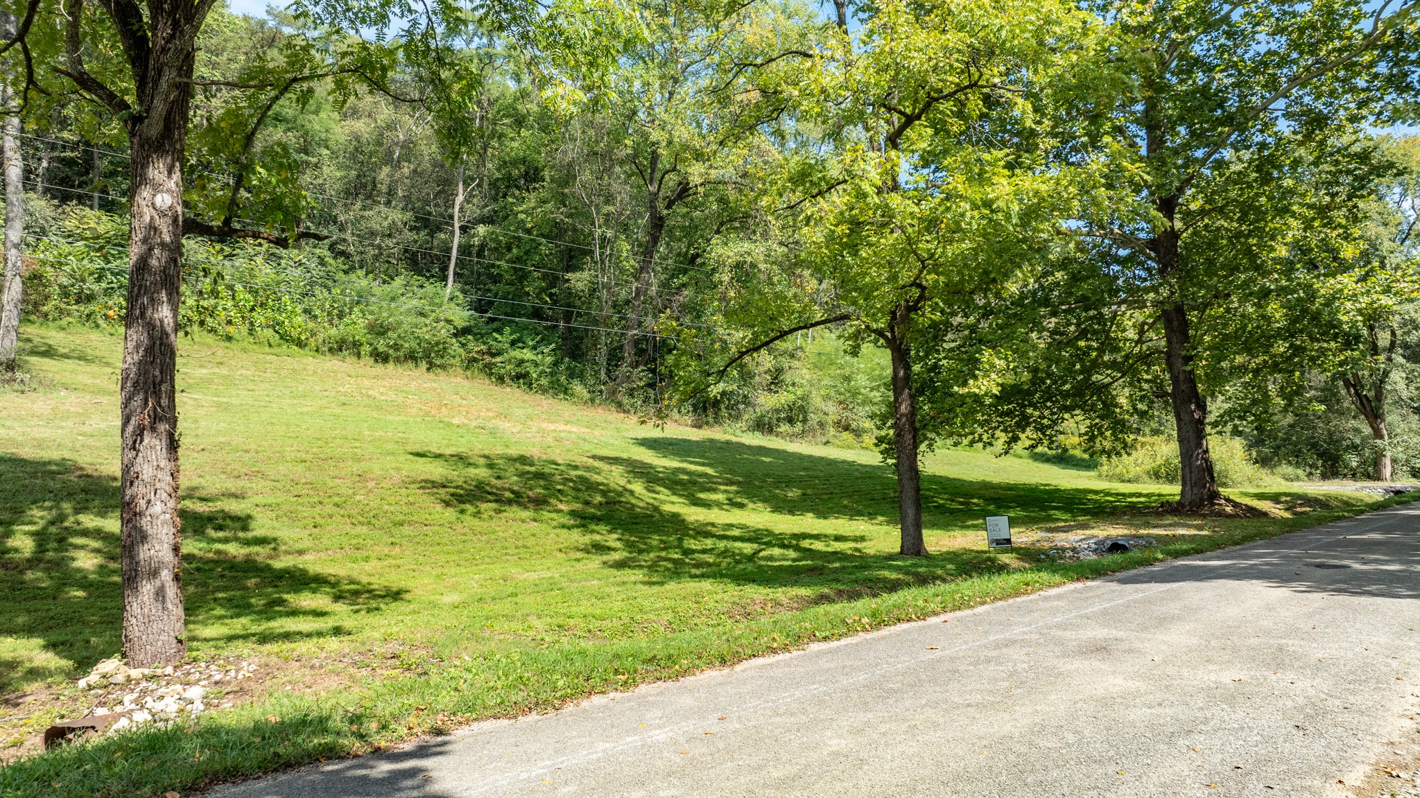 0 Roy Dodson Road Columbia, TN 38401 - Photo 3 of 33