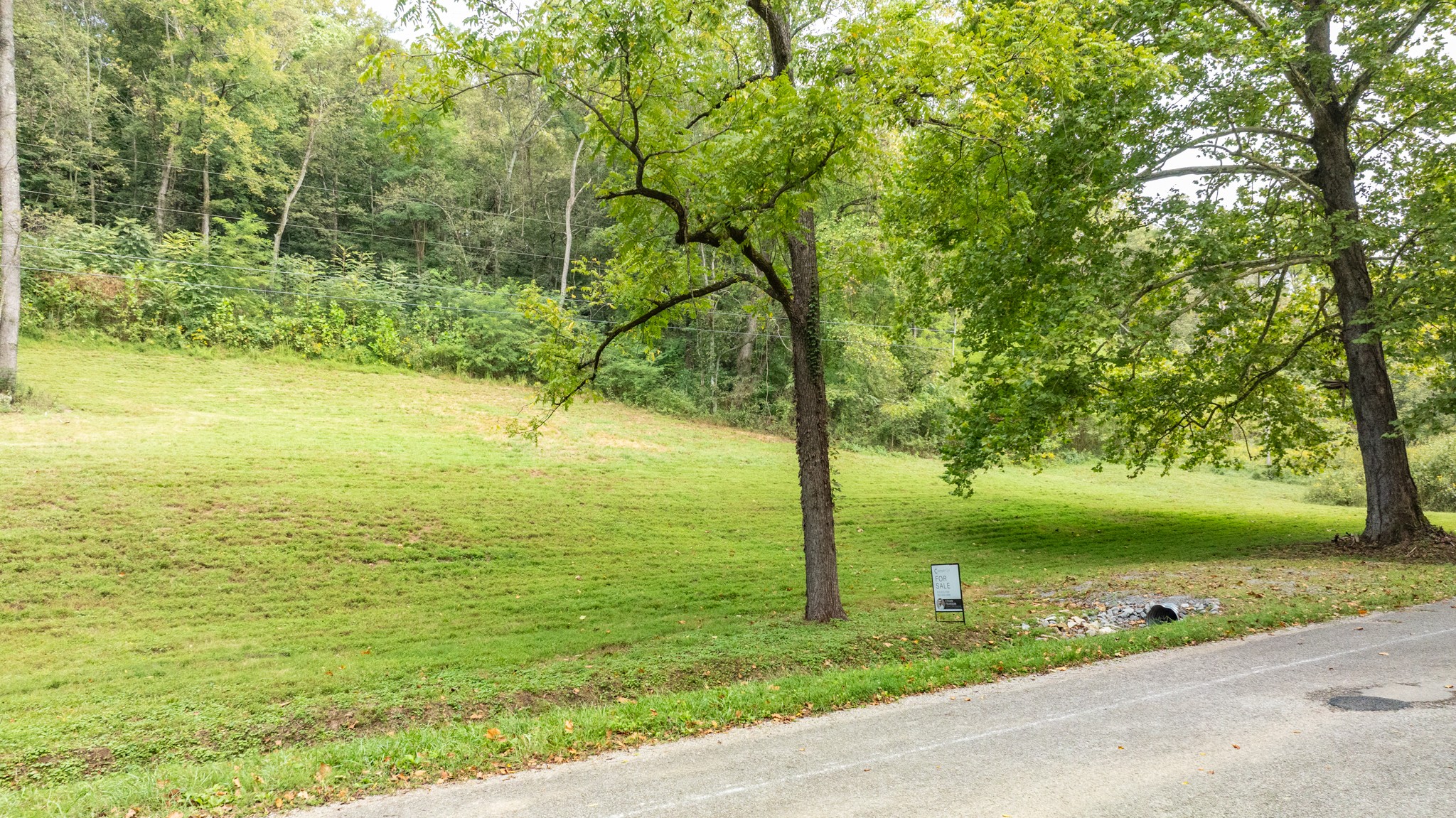 0 Roy Dodson Road Columbia, TN 38401 - Photo 4 of 33