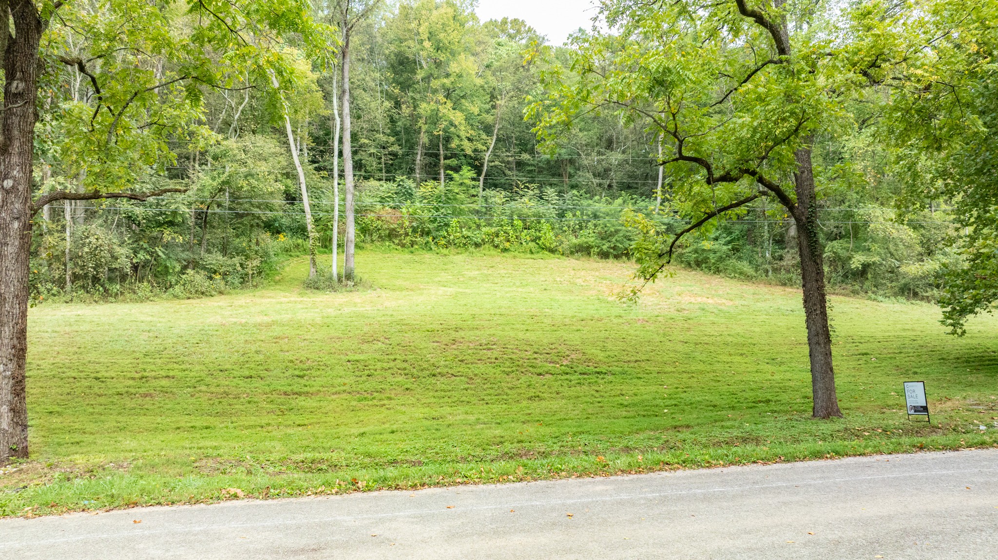 0 Roy Dodson Road Columbia, TN 38401 - Photo 5 of 33