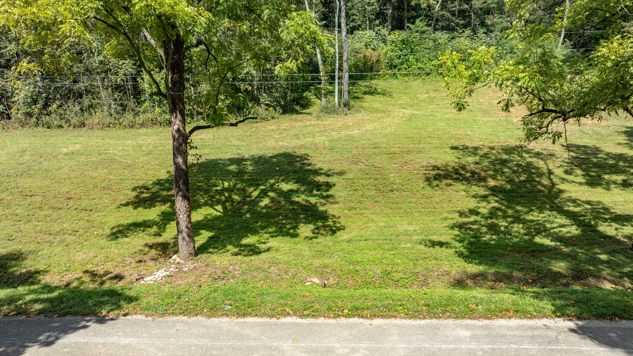 0 Roy Dodson Road Columbia, TN 38401 - Photo 6 of 33