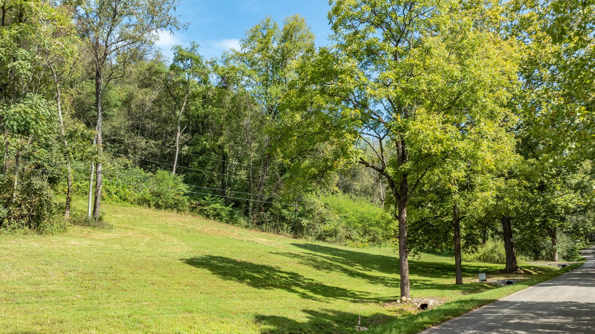 0 Roy Dodson Road Columbia, TN 38401 - Photo 7 of 33