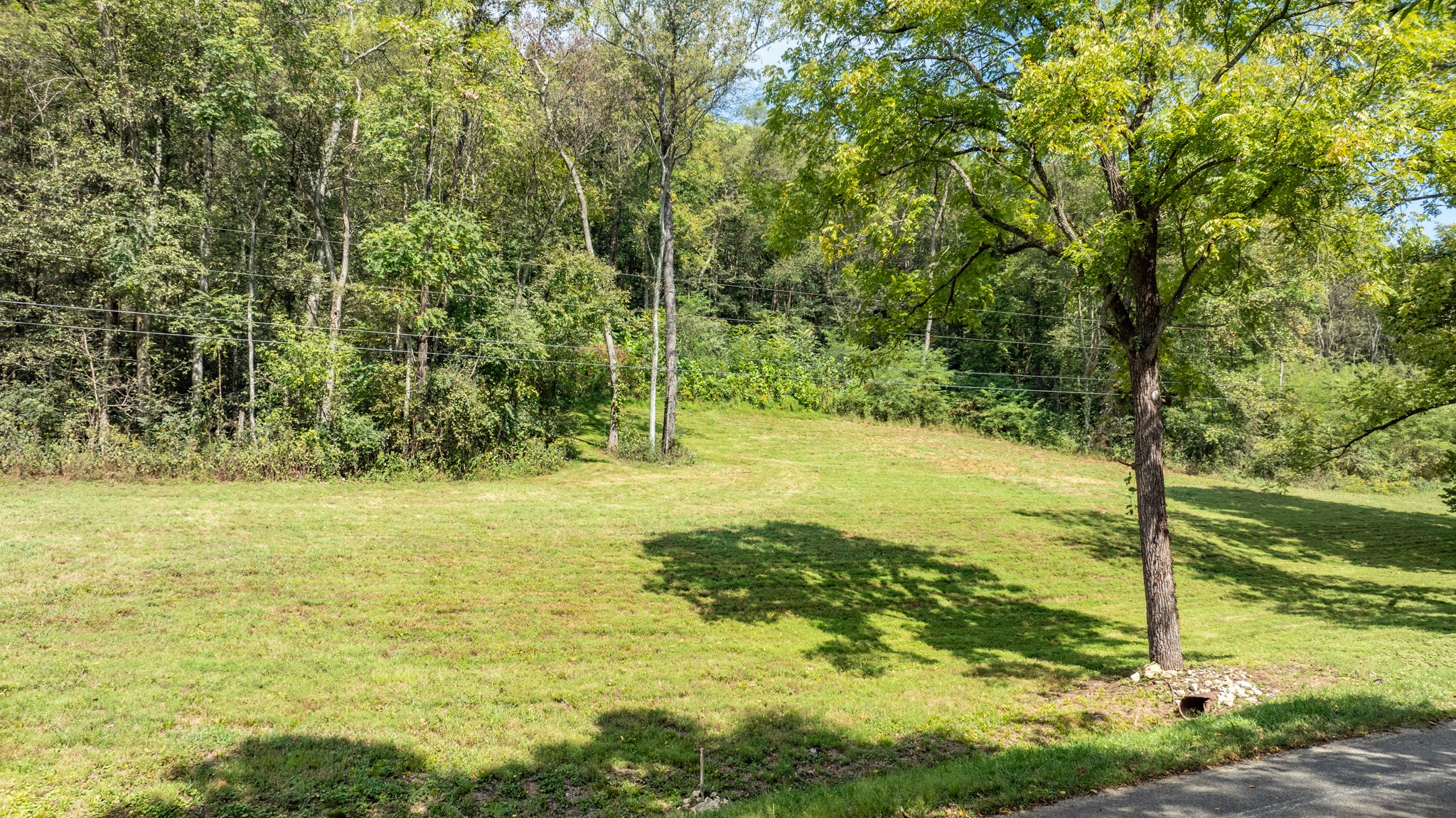 0 Roy Dodson Road Columbia, TN 38401 - Photo 8 of 33