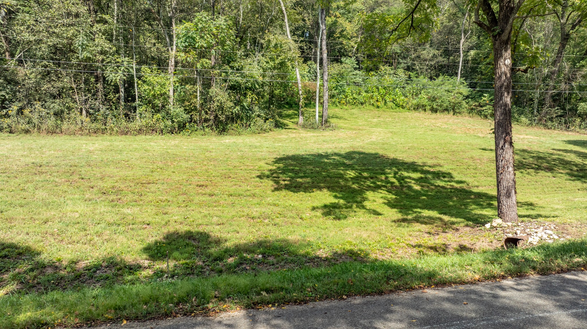 0 Roy Dodson Road Columbia, TN 38401 - Photo 9 of 33