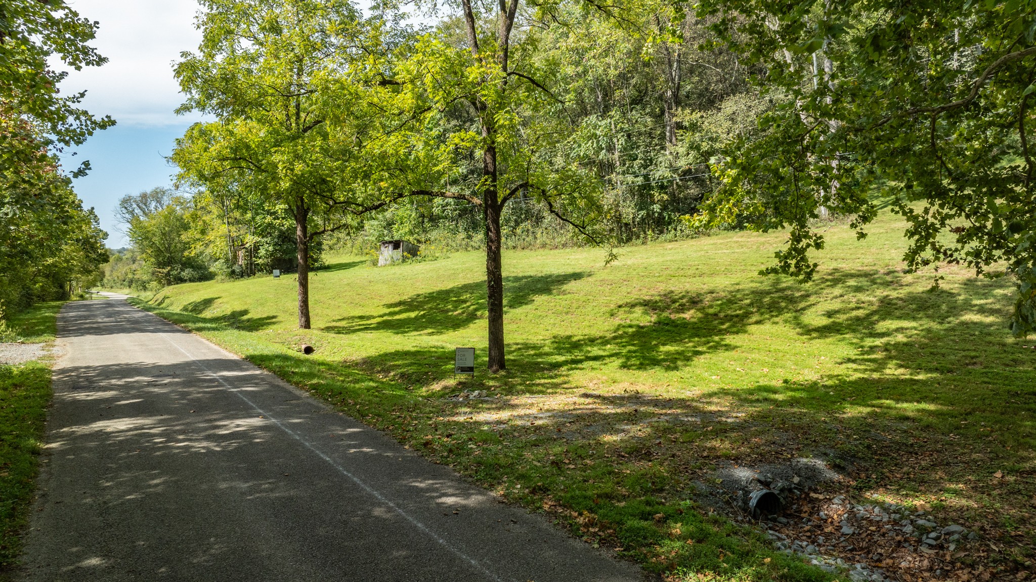 0 Roy Dodson Road Columbia, TN 38401 - Photo 10 of 33