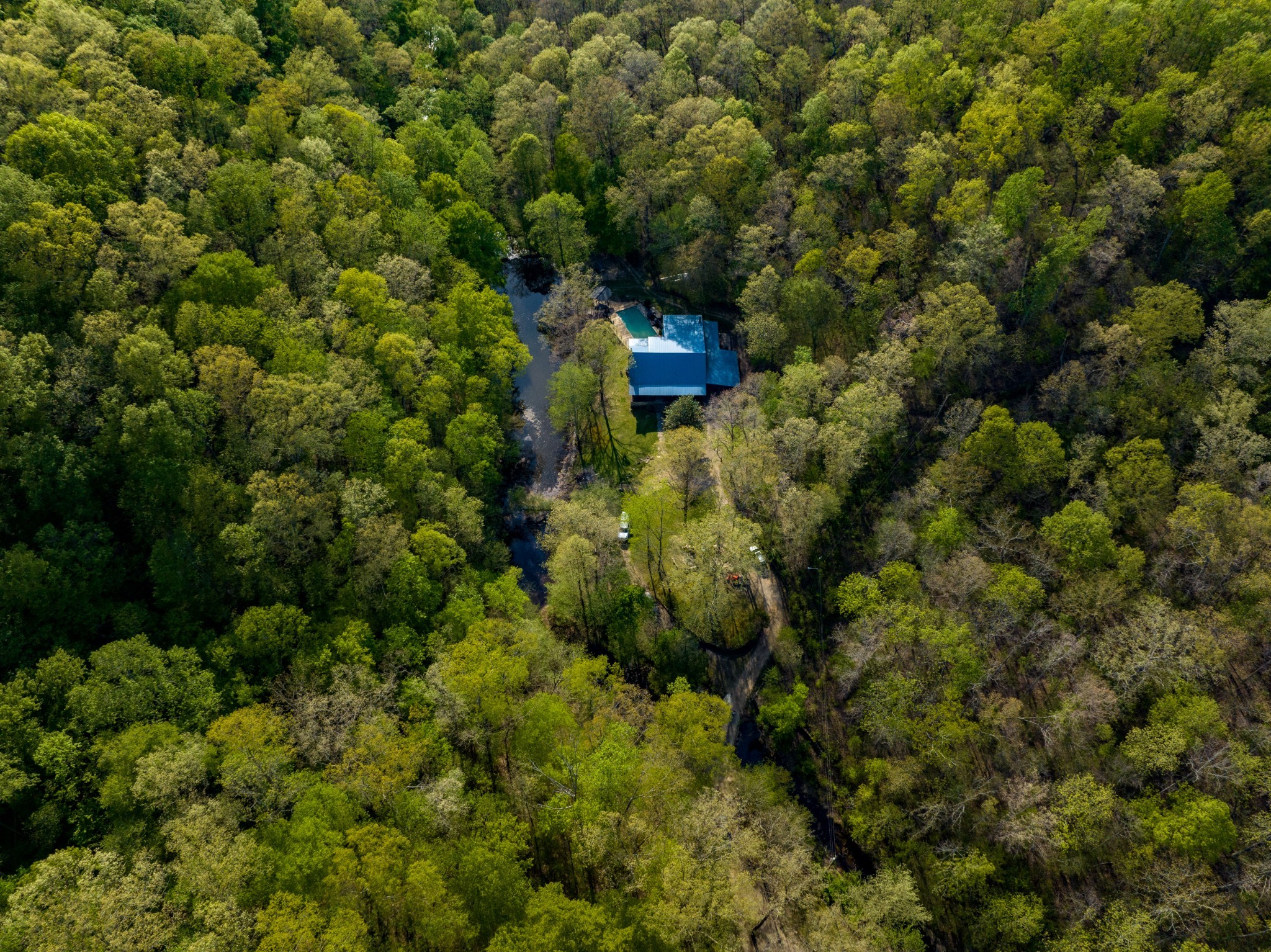 1056 West Sears Road Pegram, TN 37143 - Photo 11 of 61 a view of a forest with a houses