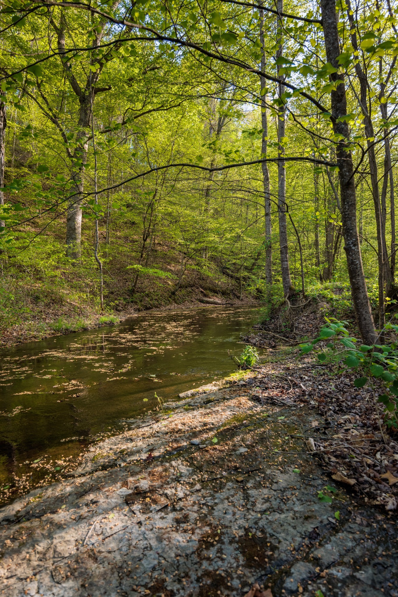 1056 West Sears Road Pegram, TN 37143 - Photo 18 of 61 a view of a lake view