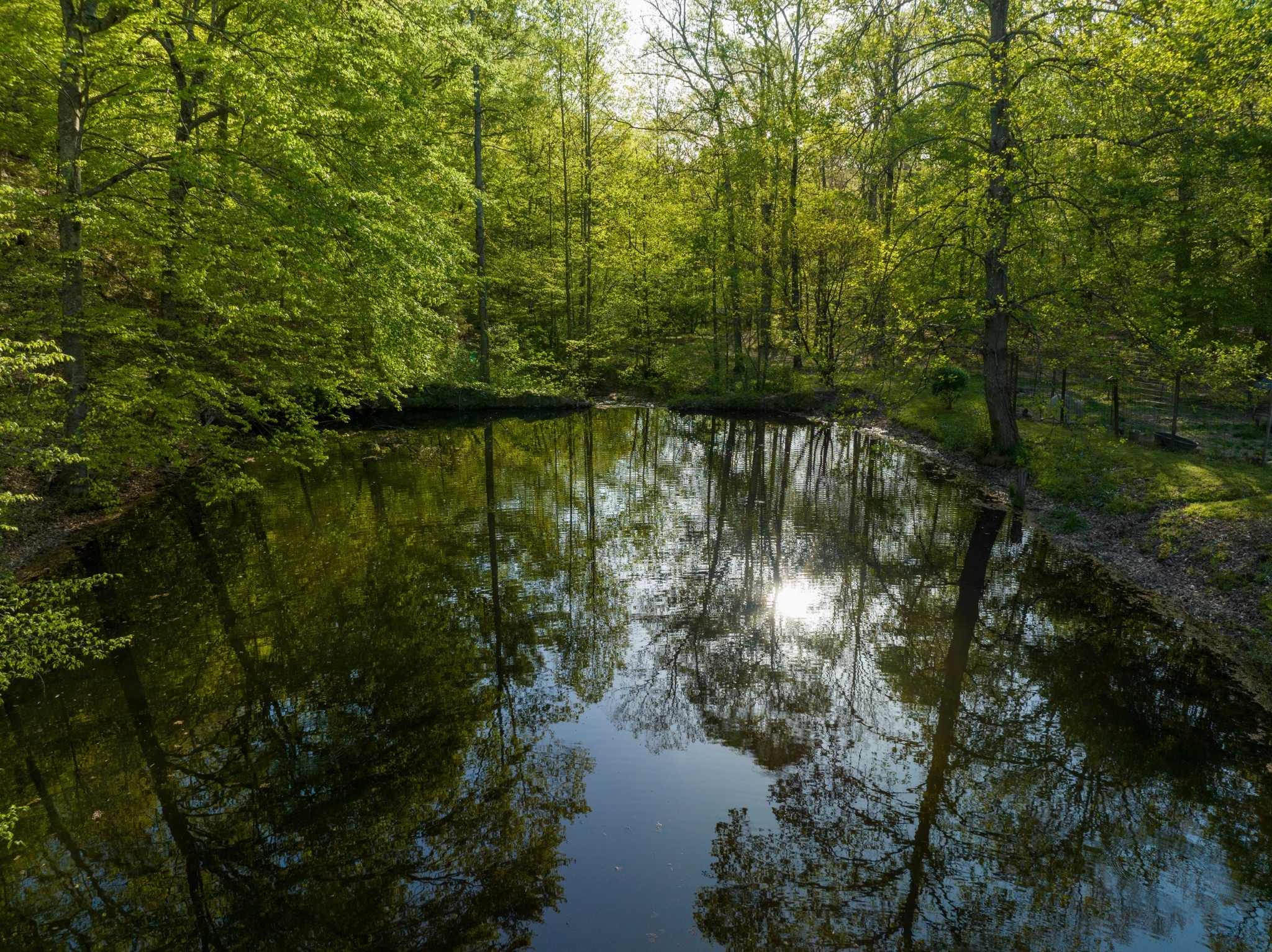 1056 West Sears Road Pegram, TN 37143 - Photo 3 of 61