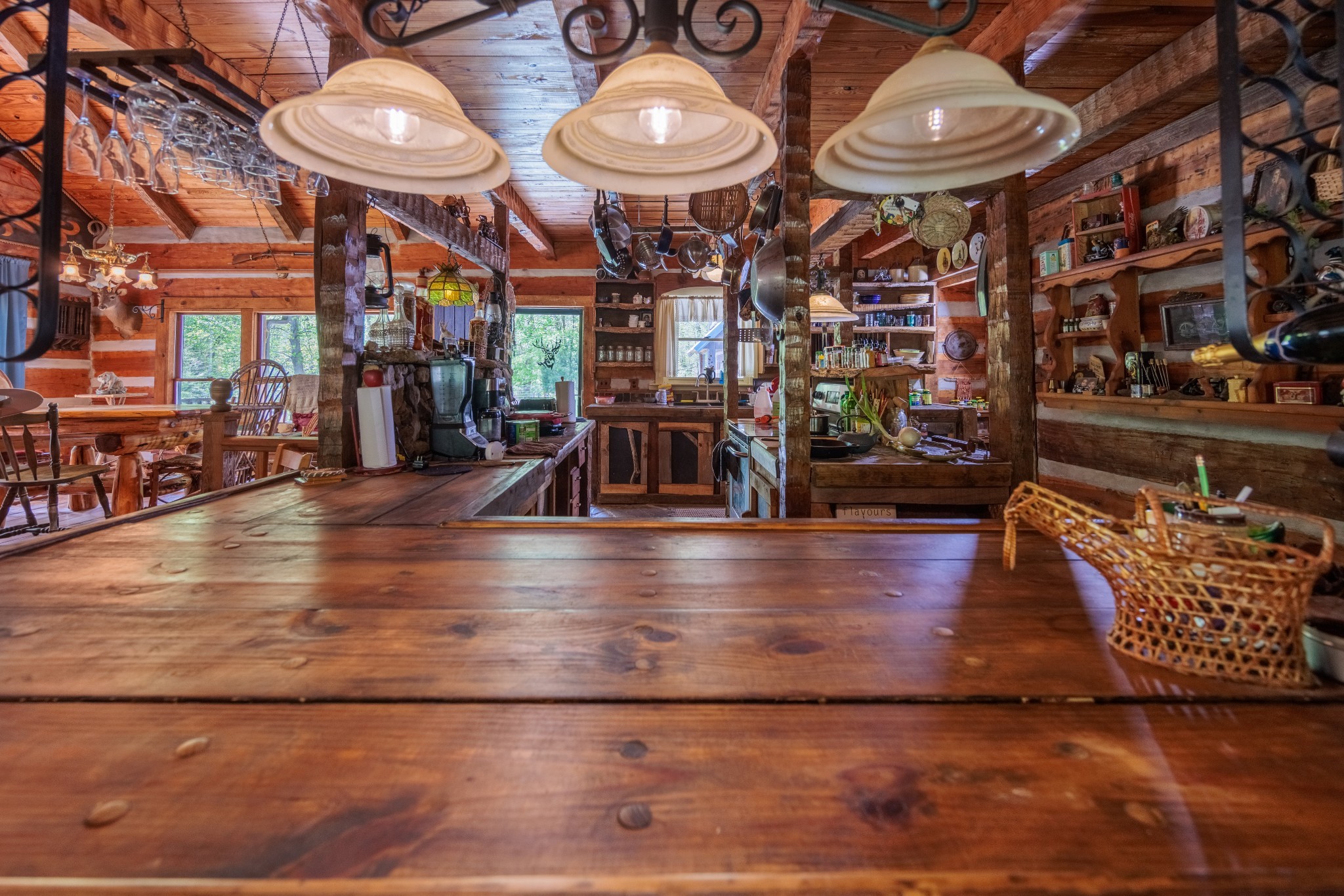 1056 West Sears Road Pegram, TN 37143 - Photo 40 of 61 a view of a room with shelves