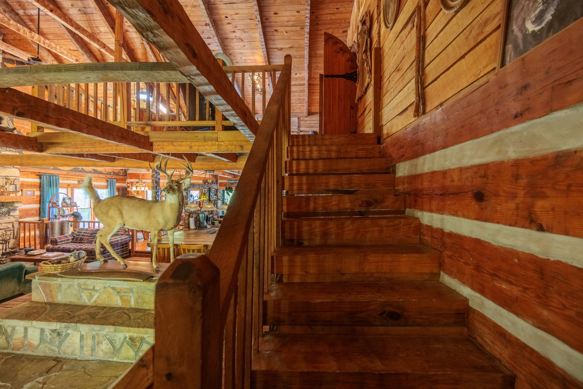 1056 West Sears Road Pegram, TN 37143 - Photo 46 of 61 a view of entryway with wooden stairs