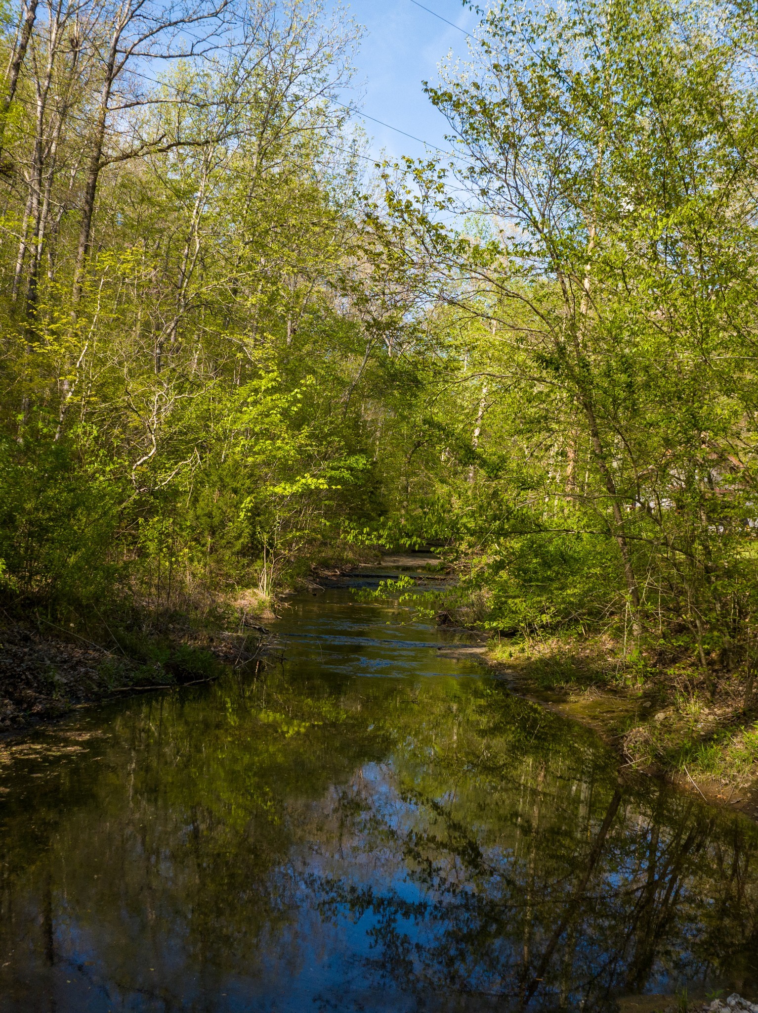 1056 West Sears Road Pegram, TN 37143 - Photo 5 of 61 a view of a lake view
