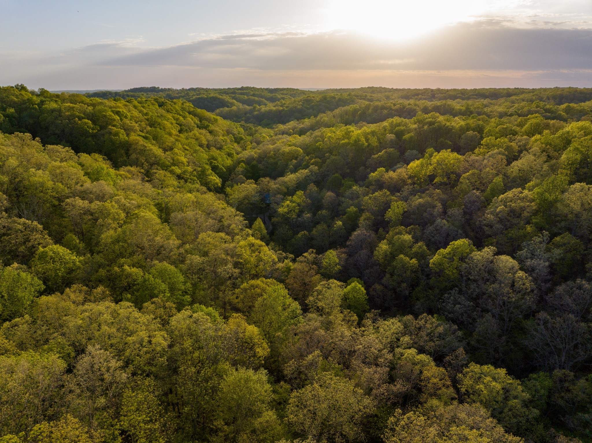 1056 West Sears Road Pegram, TN 37143 - Photo 61 of 61 a view of a city with mountains in the background