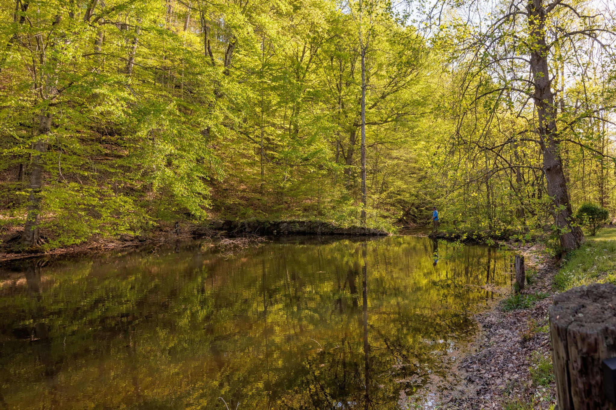 1056 West Sears Road Pegram, TN 37143 - Photo 9 of 61 a view of a lake view