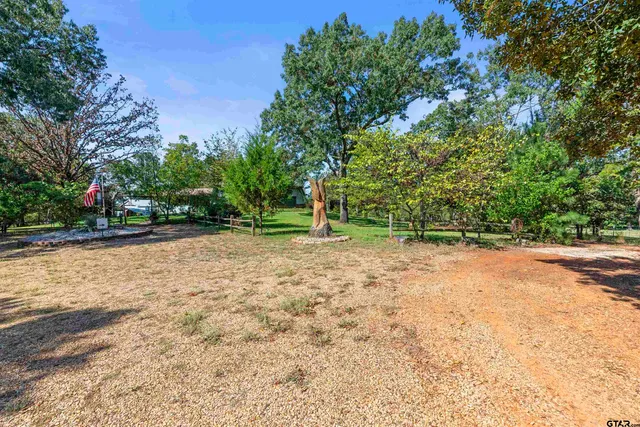 a view of a yard with plants and trees