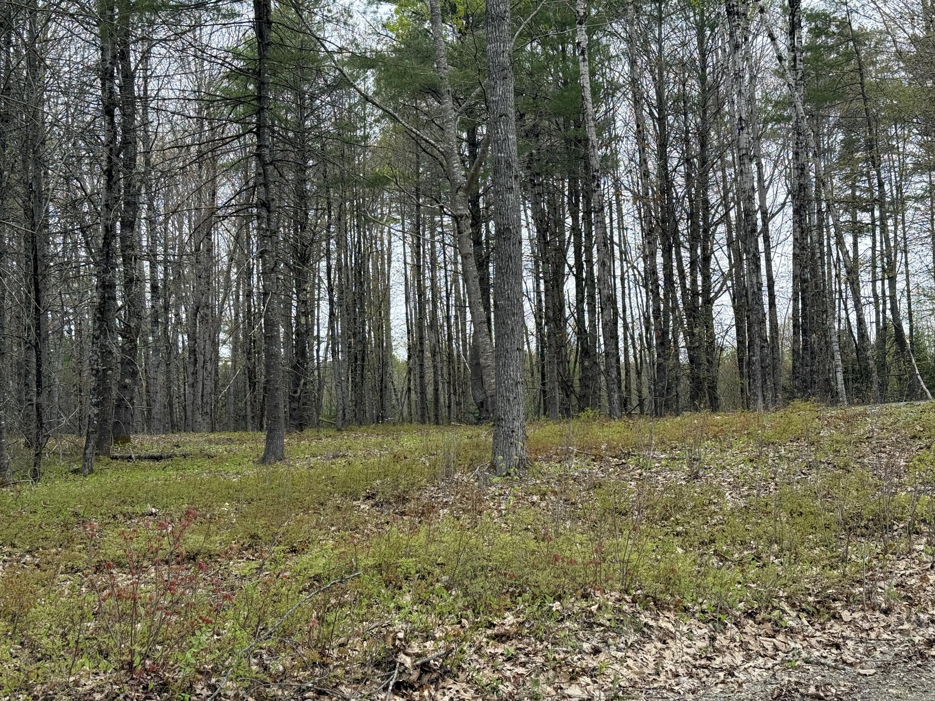22 Albert Jones Road Washington, ME 04574 - Photo 2 of 9 22 Albert Jones Road, Washington