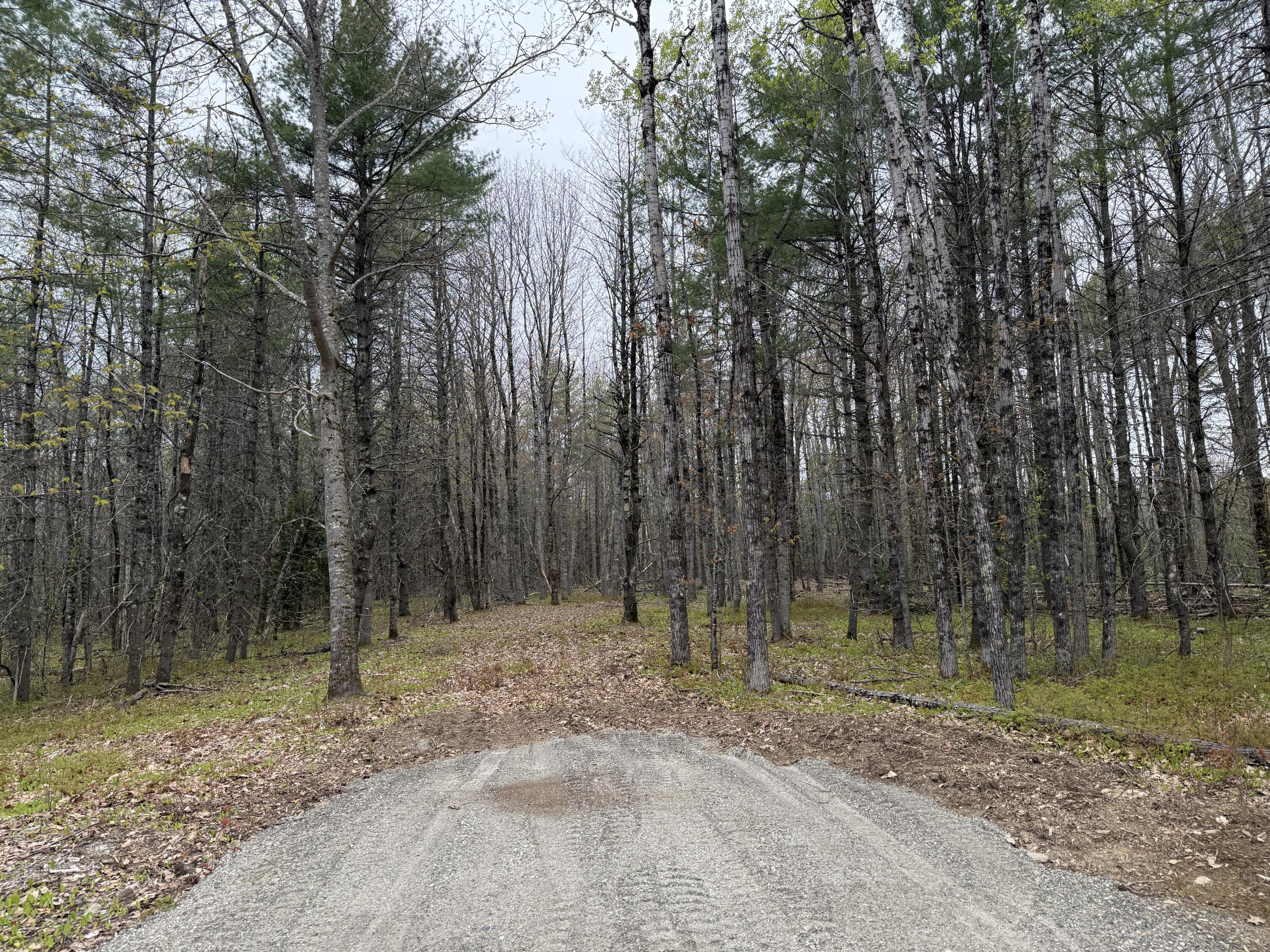 22 Albert Jones Road Washington, ME 04574 - Photo 8 of 9 22 Albert Jones Road, Washington