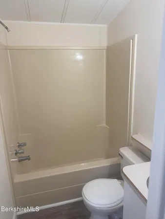 a bathroom with a toilet and a bathtub