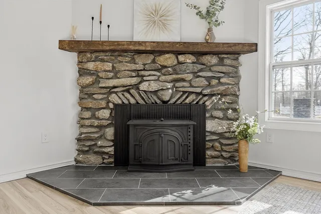 a closeup of a fireplace with a potted plant