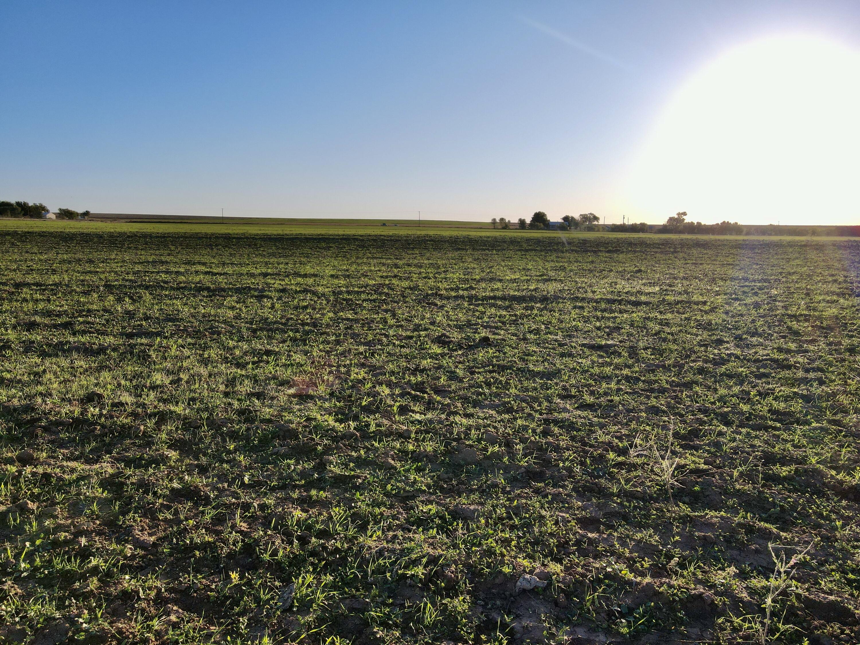 3 20 /- Acres State Highway Turkey, TX 79261 - Photo 5 of 10 a view of an ocean