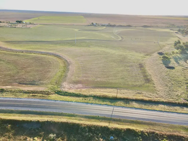 a view of a roadside with trees