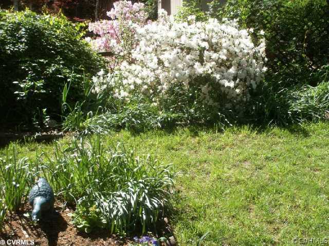 4411 Waumsetta Road Richmond, VA 23235 - Photo 12 of 12 Yard/Garden