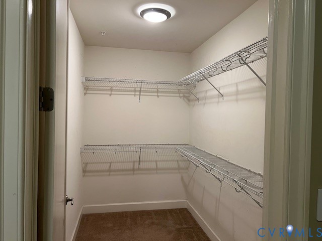 301 Virginia Street, Unit 1102 Richmond, VA 23219 - Photo 11 of 28 a view of an empty walk in closet