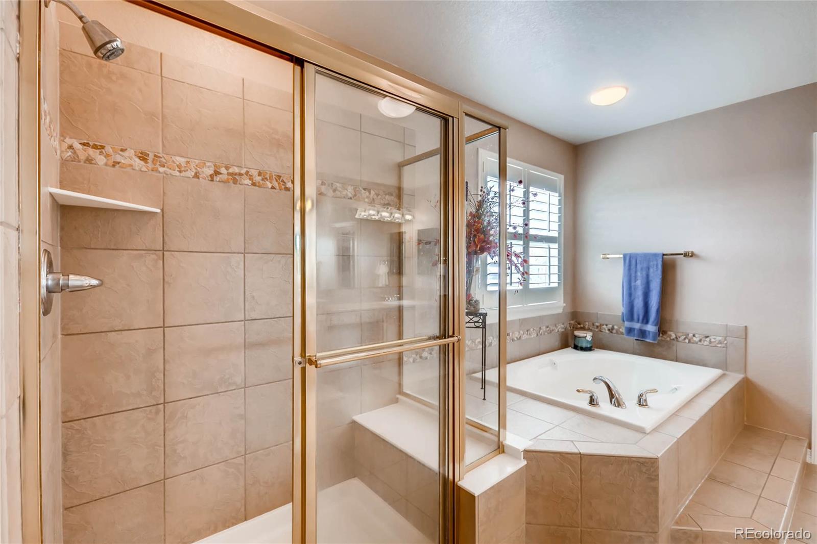 10528 Weathersfield Way Highlands Ranch, CO 80129 - Photo 16 of 33 Gallery Image 16
