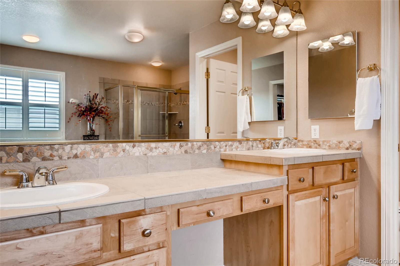 10528 Weathersfield Way Highlands Ranch, CO 80129 - Photo 17 of 33 Gallery Image 17