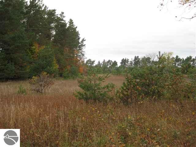 0 Beeman Road Empire, MI 49630 - Photo 9 of 13 Gallery Image 9