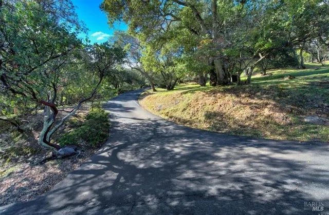 a view of a yard with trees