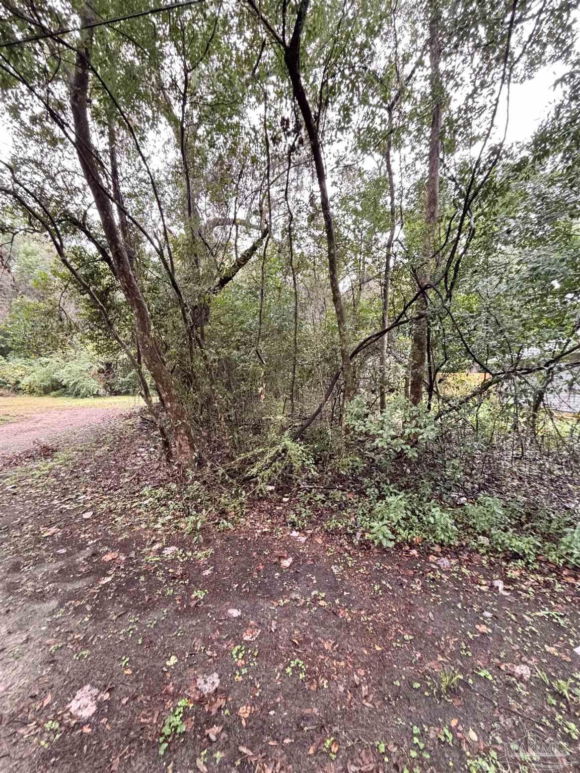 0 Limit Street Milton, FL 32583 - Photo 2 of 5 a view of backyard with green space