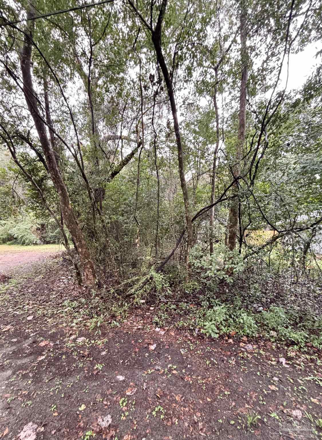 0 Limit Street Milton, FL 32583 - Photo 3 of 5