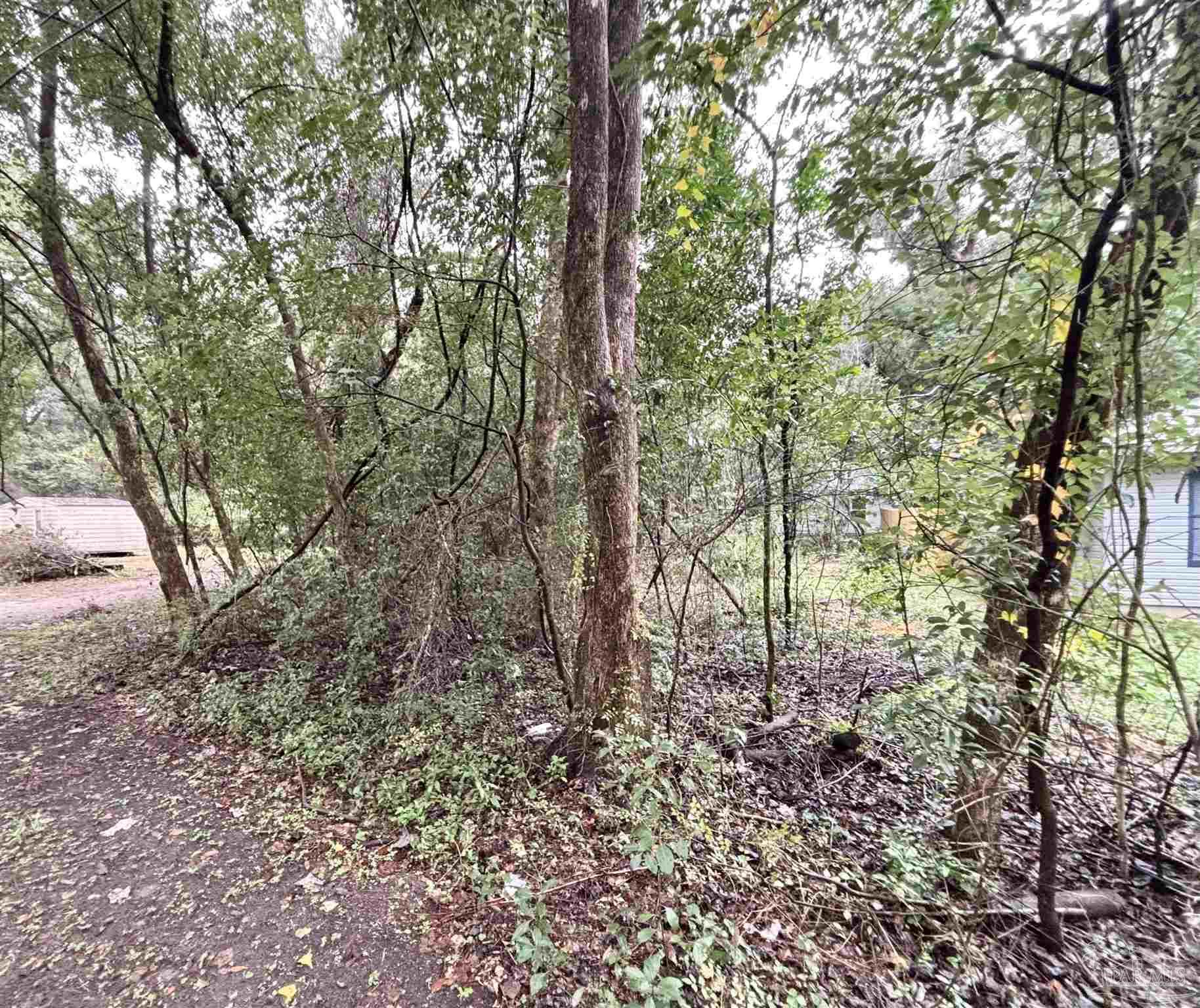 0 Limit Street Milton, FL 32583 - Photo 4 of 5 a view of forest