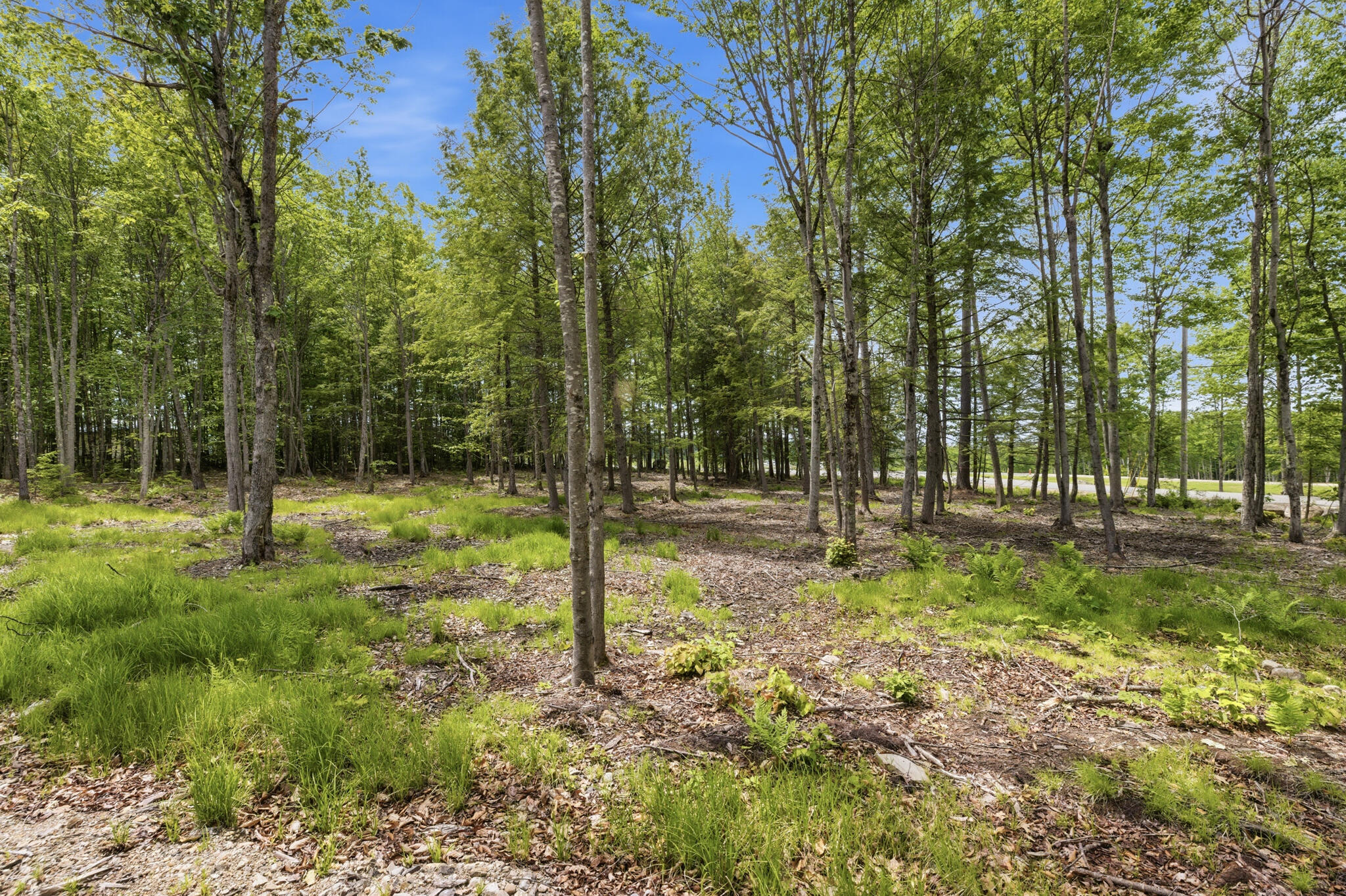 0 Buzzell Road Acton, ME 04001 - Photo 10 of 17 22