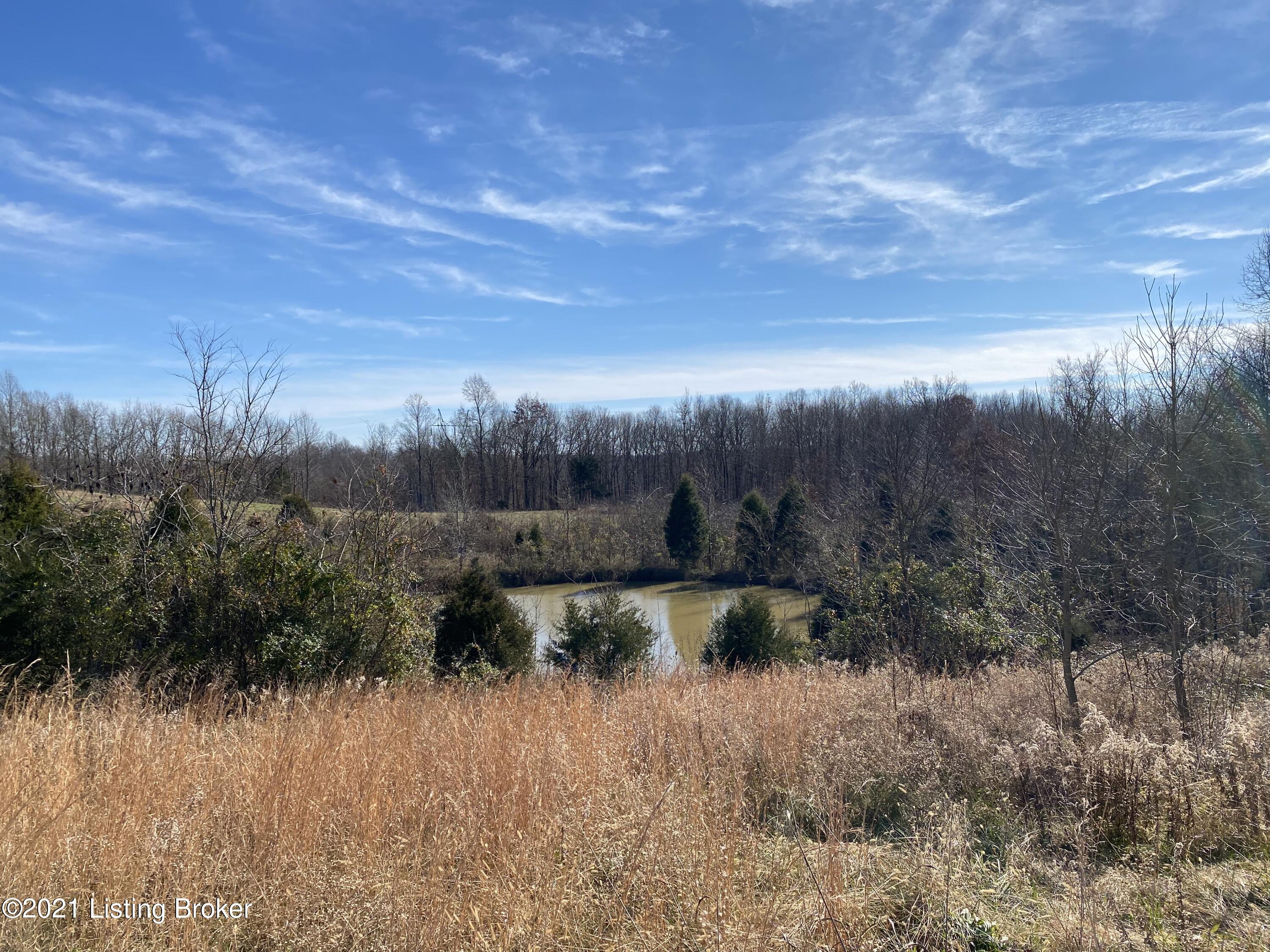0 Meredith Ridge Road Leitchfield, KY 42754 - Photo 1 of 1 Pond View