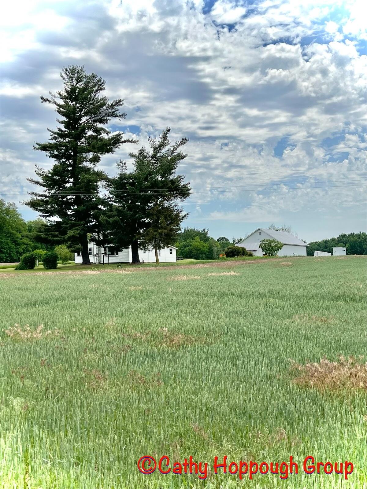 1575 Youngs Road Orleans, MI 48865 - Photo 19 of 41 CEDB8C82-61A0-478E-8478-F082281F2405