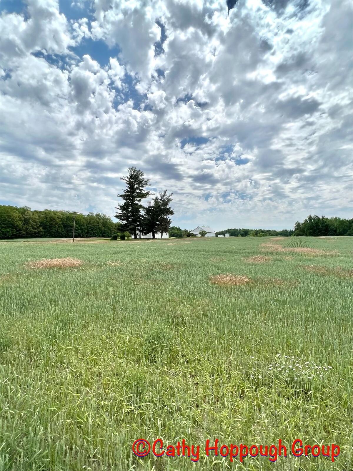 1575 Youngs Road Orleans, MI 48865 - Photo 23 of 41 BE38A4E1-7237-4398-8BD3-7397FAFF574F