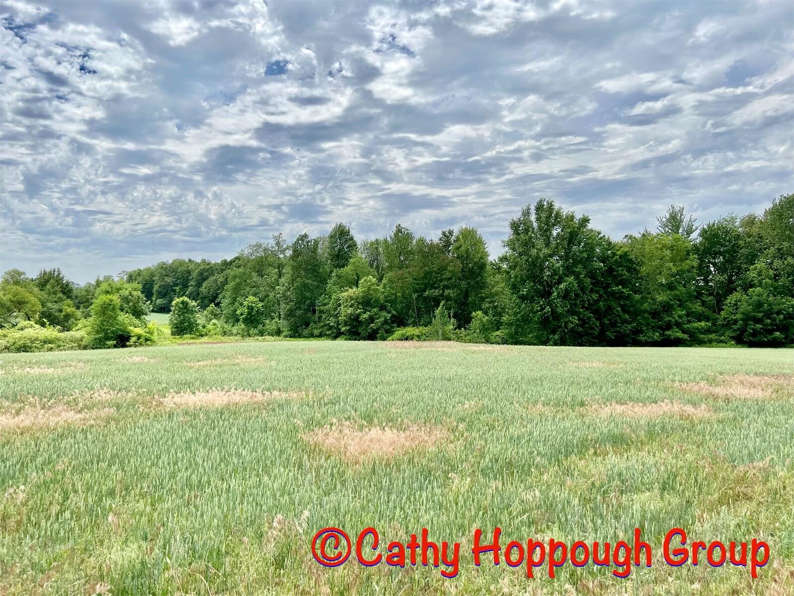 1575 Youngs Road Orleans, MI 48865 - Photo 26 of 41 09C7256A-D278-472F-93C4-D4E453EF4E90